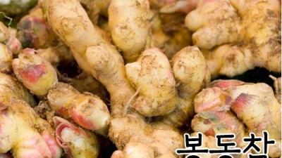 봉동들녘생강 특가할인! 솔직 후기와 꿀팁 대방출🥰